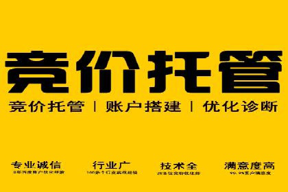 搜索引擎营销（SEM）专员的挑战与机遇